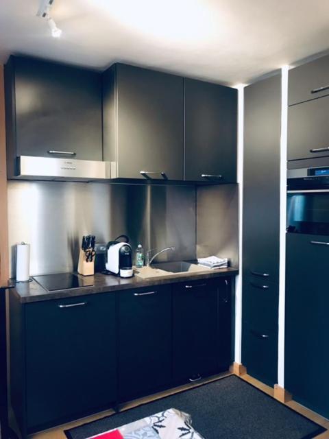 Aiguille Rouge Apartment Chamonix Bagian luar foto